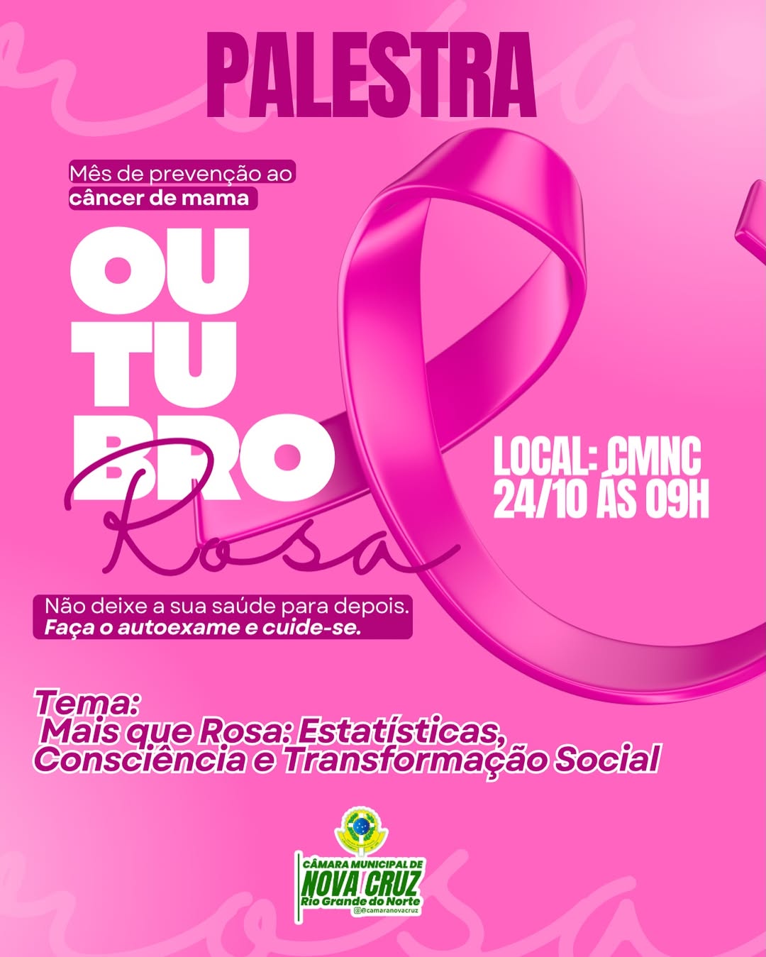 Mais que Rosa: Estatísticas, Consciência e Transformação Social