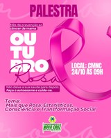 Mais que Rosa: Estatísticas, Consciência e Transformação Social